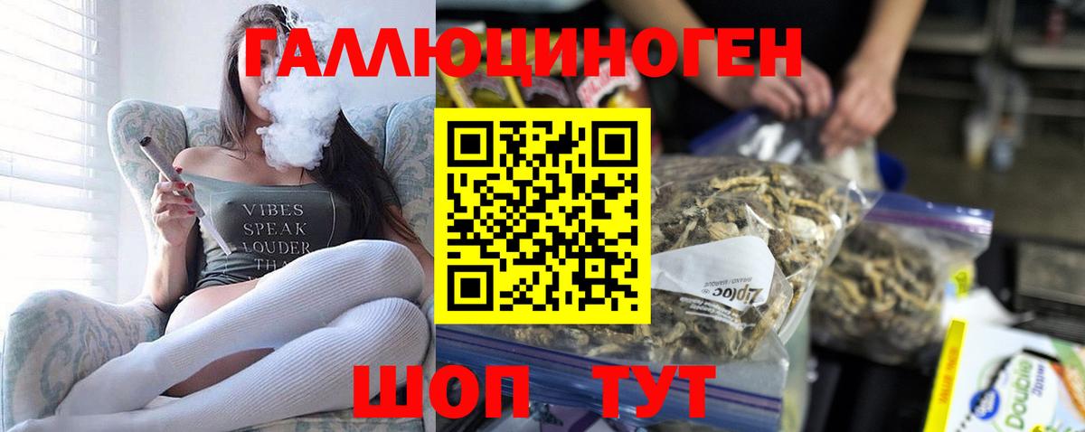 Галлюциногенные грибы прущие грибы Нальчик