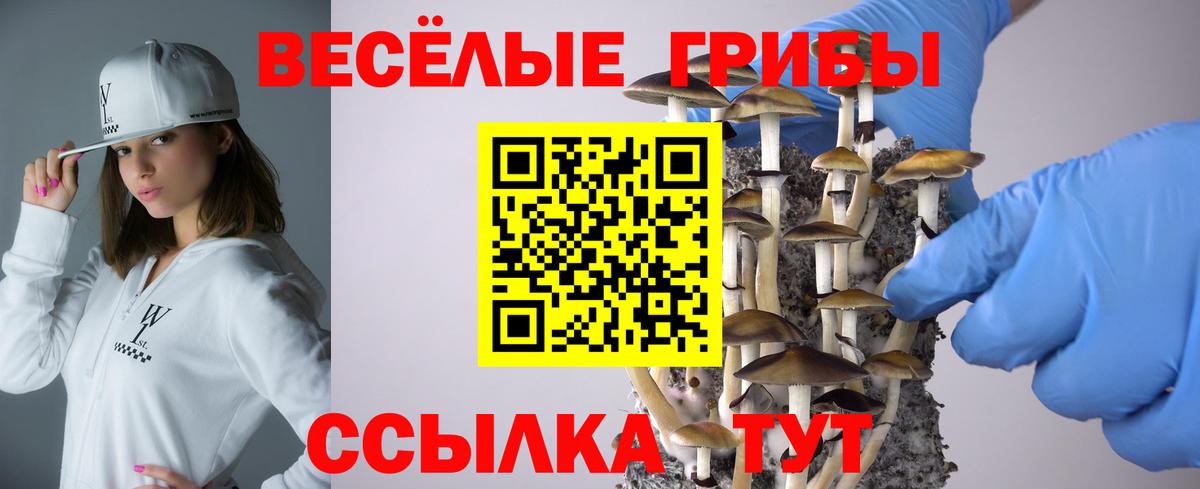 Галлюциногенные грибы мицелий  Вход с VPN  Нальчик 